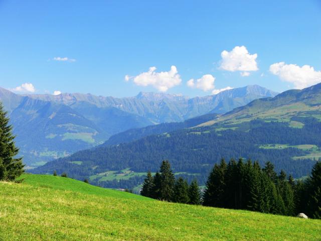 Ein Traumtag